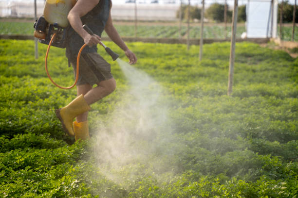 Best Exterminator Services  in Oyster Bay Cove, NY