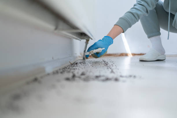 Best Local Pest Control Services  in Oyster Bay Cove, NY